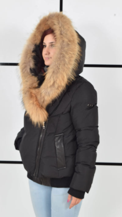 The Fox Jacket